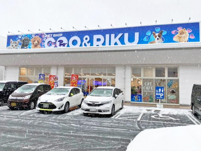 ペットショップCoo&RIKU ラ・ムー鳥取東店