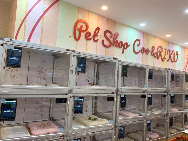 ペットショップCoo&RIKU 出雲店