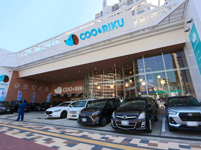 ペットショップCoo&RIKU 広島中央店