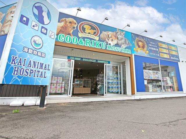 ペットショップCoo&RIKU 愛媛松山店