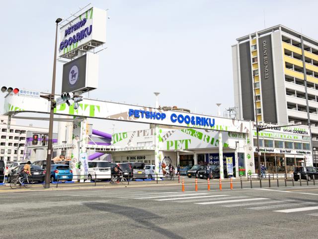 ペットショップCoo&RIKU 福岡東店