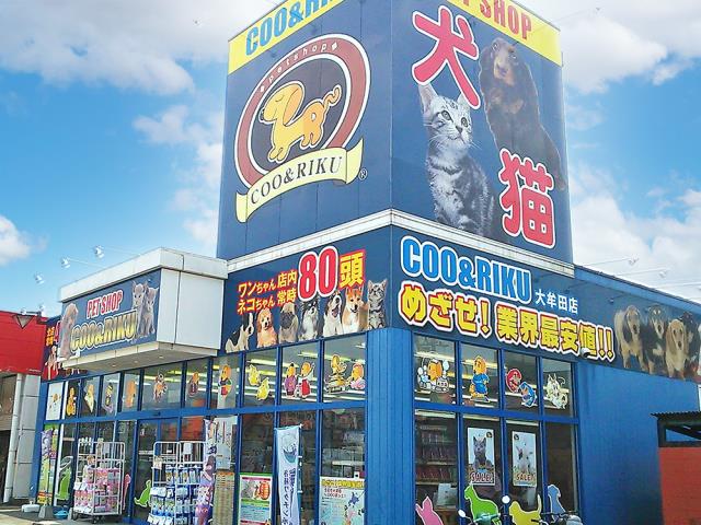 ペットショップCoo＆RIKU 大牟田店