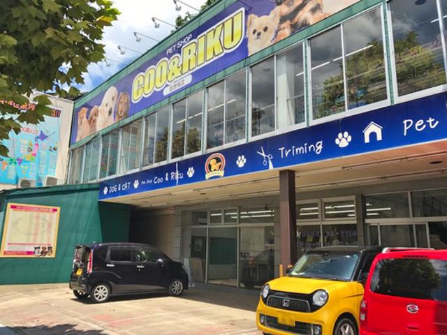 ペットショップCoo＆RIKU 長崎佐世保店