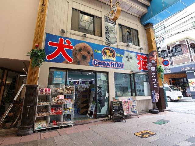 ペットショップCoo&RIKU 長崎浜町店