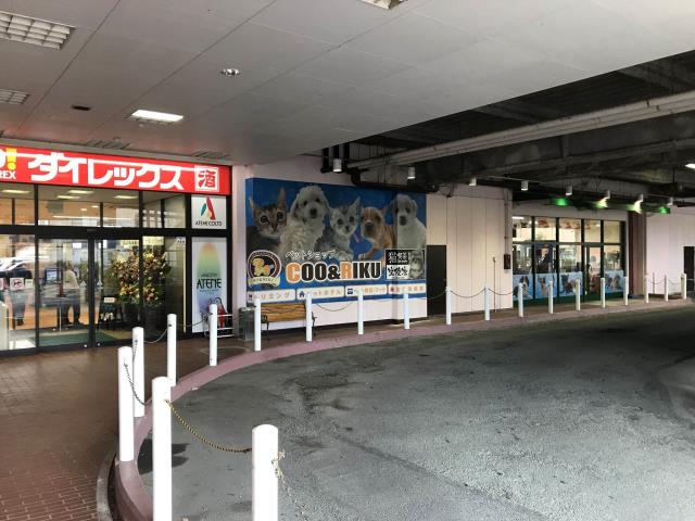 ペットショップCoo&RIKU カリーノ玉名店