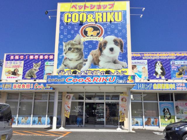 ペットショップCoo＆RIKU 宮崎店