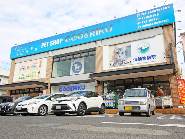 ペットショップCoo＆RIKU 鹿児島店
