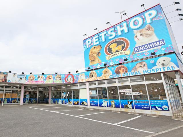 ペットショップCoo＆RIKU 霧島店