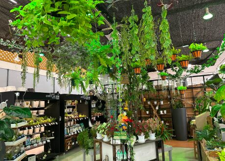 DOG ＆ CAT’S 箕輪店(綿半スーパーセンター箕輪店内)