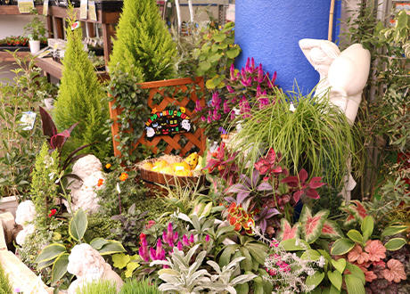 ペットショップAZ長坂店(綿半ホームエイド長坂店内)