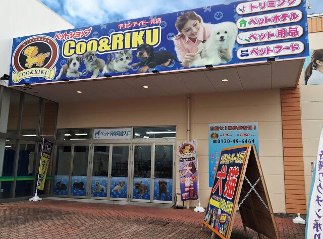 ペットショップCoo＆RIKU 宇土シティモール店