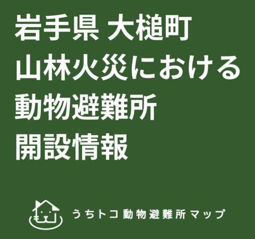 岩手・大槌町 山林火災に伴う動物避難所の対応について
